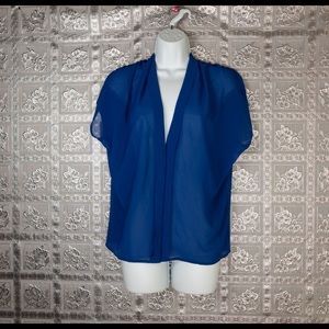 Do & Be Blue Button Down Sheer Top